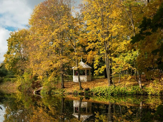 Пушкинское Болдино в Нижегородской области - место особенное и интересное