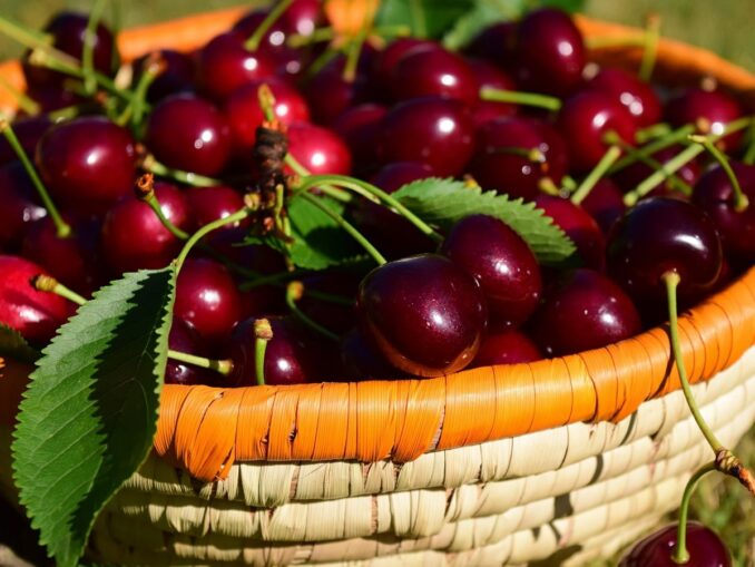 Черешня в Турции появляется в продаже в начале мая и дешевеет к июню