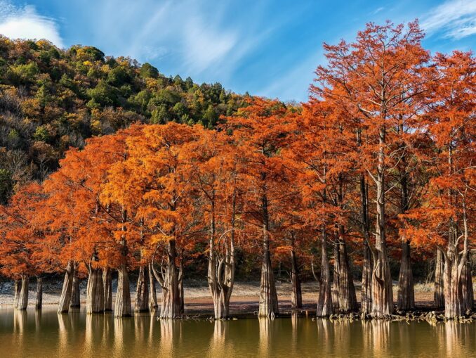 Осенью в Анапе и рядом стоит солнечная и сухая погода
