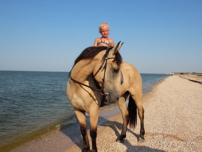 Должанская на Азовском море