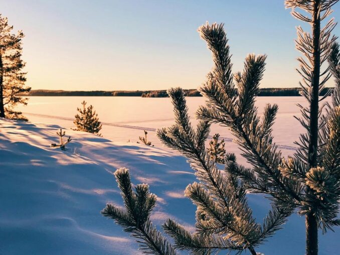In winter in Karelia, you can relax in nature and ski