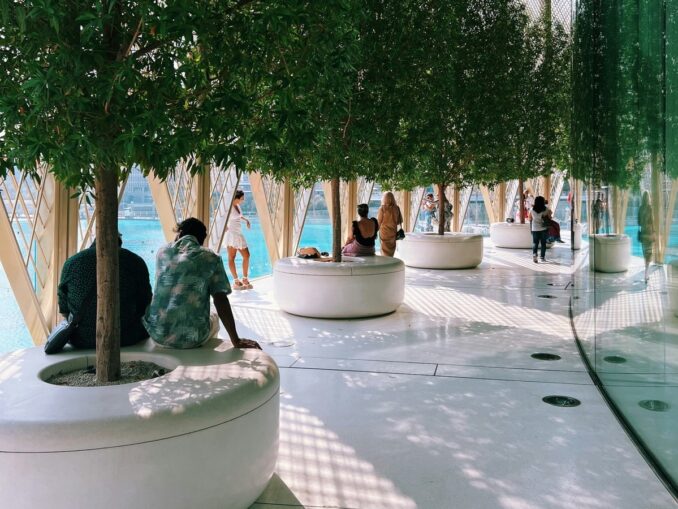 Mall of The Emirates - летом в Дубае не хочется выходить из под кондиционера