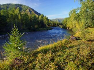 Горный Алтай - сюда в России можно поехать летом!