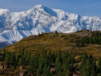Алтайские горы находятся в России на границе с Монголией и Китаем