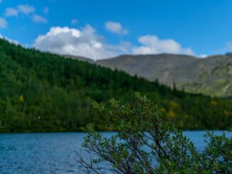 Стоит ли ехать в Мурманск в августе?