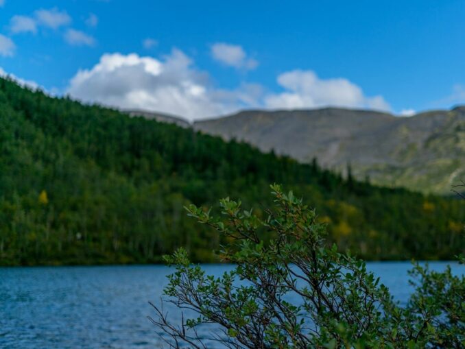 Стоит ли ехать в Мурманск в августе?