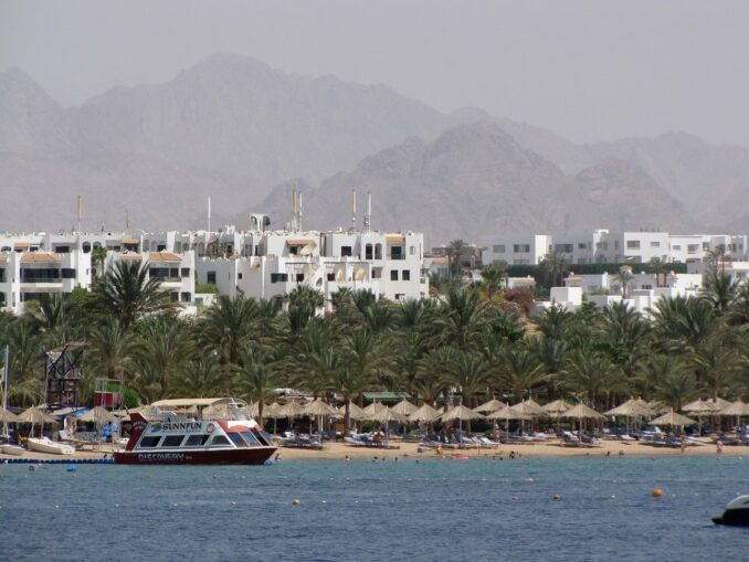 В Шарм-эль-Шейх в Египте есть риск встречи с акулой 