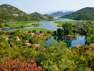 Скадарское озеро в Черногории нужно посмотреть в первую очередь