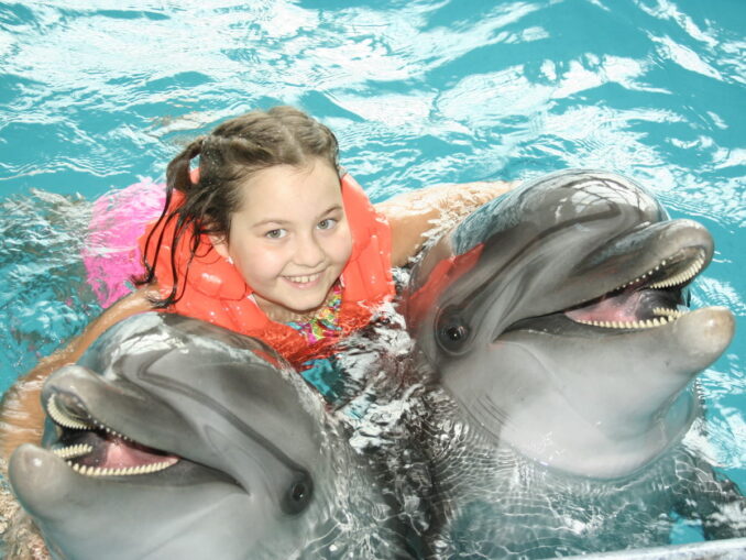 Из Анапы стоит съездить с детьми в дельфинарий