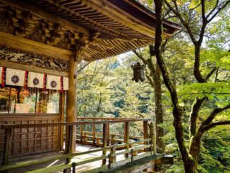 Сад - Япония - одна из самых загадочных стран мира