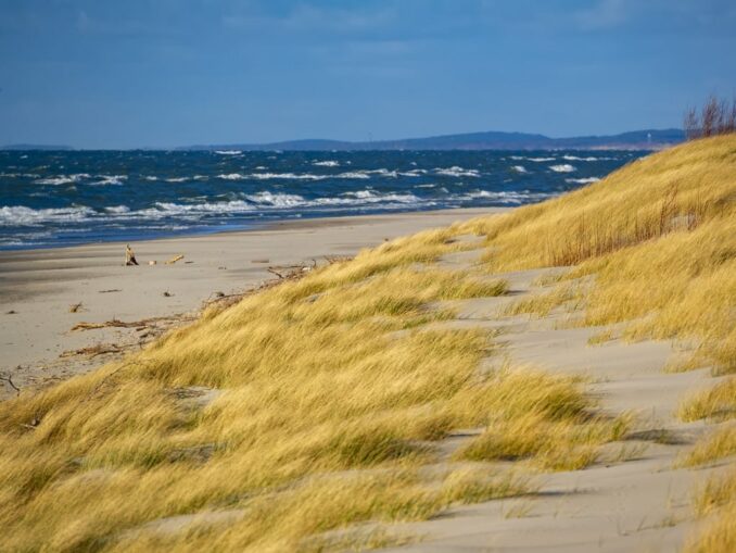 Куршская коса - первое, что нужно посмотреть в Калининградской области туристу
