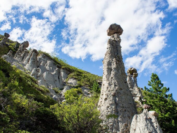 Каменные грибы в урочище Аккурум