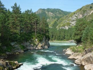 В Чемале нужно обязательно посмотреть на Катунь