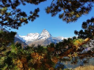 В Домбай в сентябре стоит ехать на отдых!