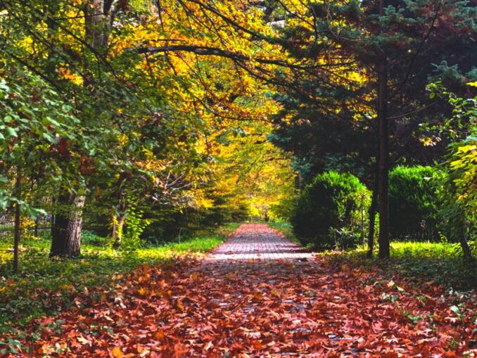 В октябре в Калининграде нужно одеваться тепло