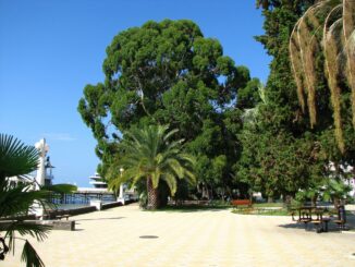 Сухум - туры в Абхазию стали продавать хуже и туристов мало