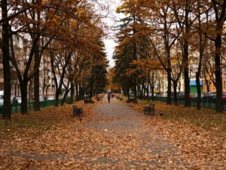 Погода в Минске в ноябре довольно холодна