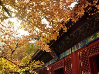 В ноябре в Пекине все еще довольно тепло