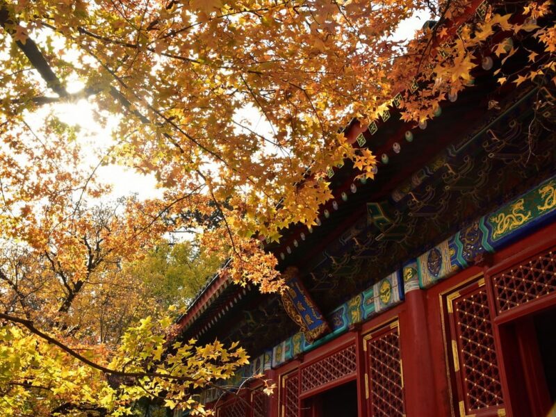 В ноябре в Пекине все еще довольно тепло