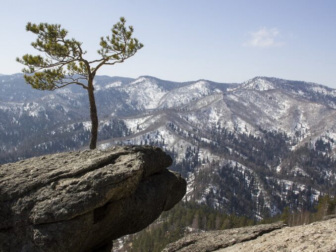 Зимой в Белокурихе можно отдыхать и кататься на лыжах