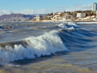 В Сочи в декабре стоит ехать на экскурсии