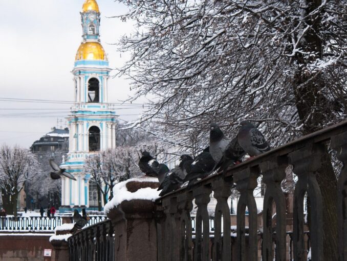 Температура воздуха в Санкт-Петербурге в декабре редко опускается ниже -10-15 градусов Цельсия