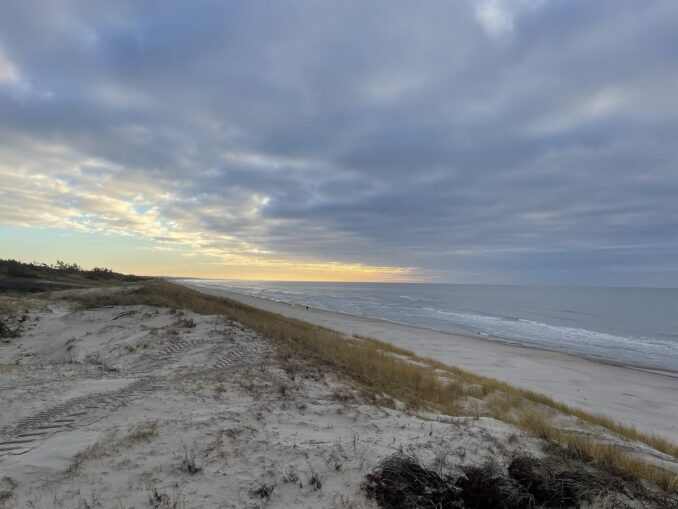 Даже в зимнее время стоит съездить посмотреть Куршскую косу, фото @Harald Groven/Wikimedia Commons