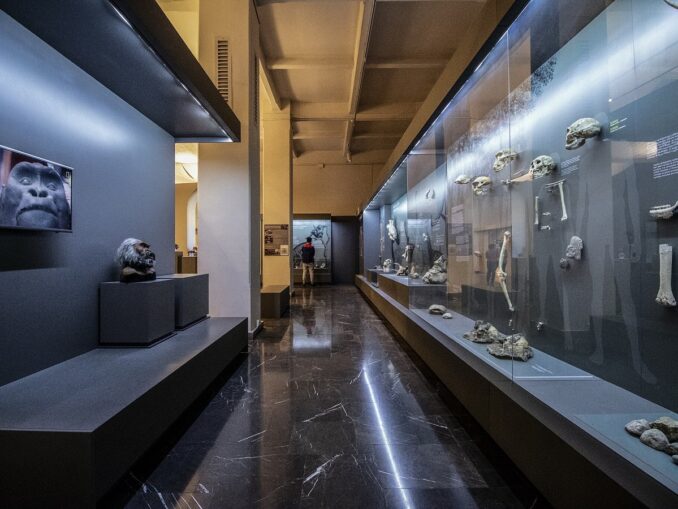 В Национальный музей Грузии зайдут лишь самые любопытные путешественники