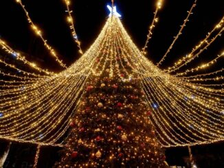 В Калининграде стоит встретить Новый год!