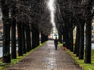 В Санкт-Петербург и в ноябре стоит ехать на экскурсии!