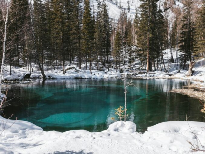 Зимой на Алтае зимой можно посмотреть удивительное Гейзерное озеро