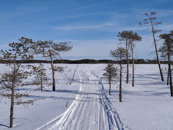 Лыжня - температура воздуха в Карелии зимой может опускаться до -25-30 градусов Цельсия