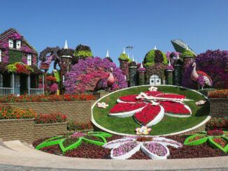 Сад Чудес - в Дубай в январе стоит ехать на отдых и экскурсии!