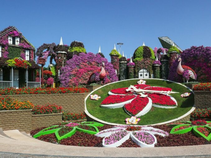 Сад Чудес - в Дубай в январе стоит ехать на отдых и экскурсии!