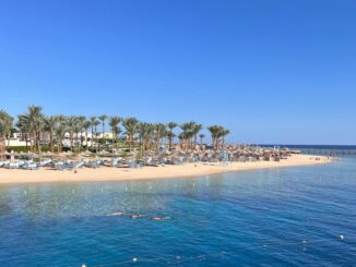 В Египет в январе стоит ехать на пляжный отдых и экскурсии