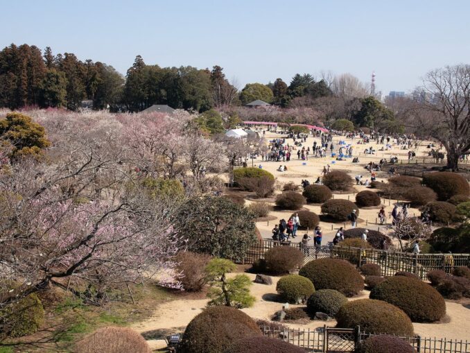 В парк Кайраку-эн нужно обязательно сходить в Японии
