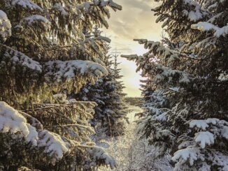 В Карелии стоит встречать Новый год!