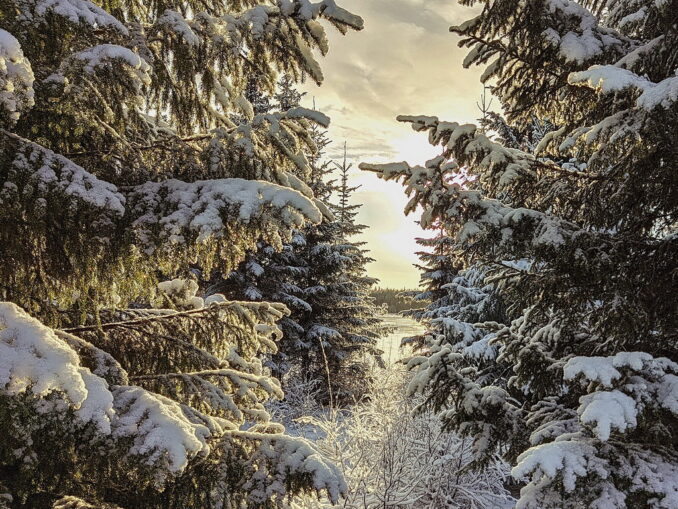 В Карелии стоит встречать Новый год!