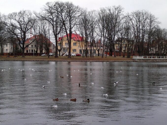 Kaliningrad rarely sees snow in February, photo @Anton Yefimov/Wikimedia Commons Upper Lake - the air temperature in Kaliningrad in February rises to +4-6 degrees Celsius