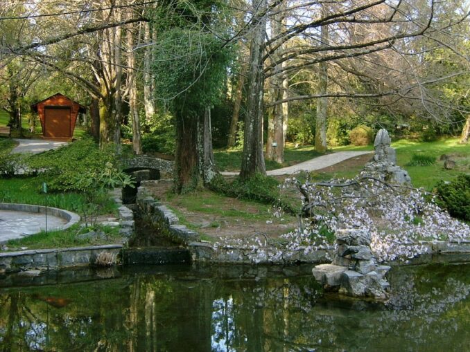 Дендрарий - Сочи - самое теплое место в России, где можно отдохнуть в марте