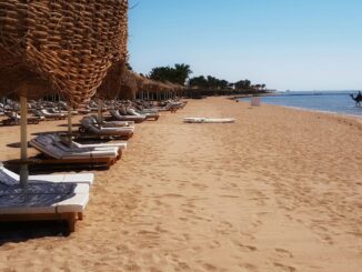 В Египет в марте стоит ехать на пляжный отдых и экскурсии