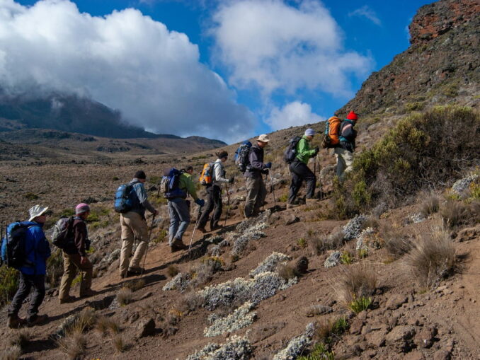 Сколько часов лететь до Танзании чтобы совершить восхождение на Килиманджаро?