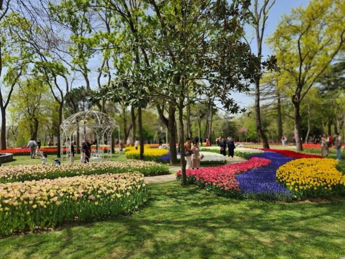 In April people go to Istanbul to see tulips