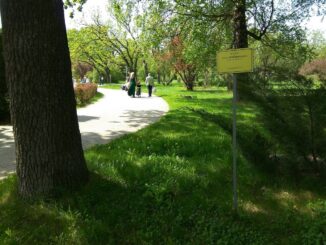 Ботанический сад - в Минске есть, куда сходить с детьми