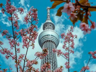В Токио в марте зацветает сакура