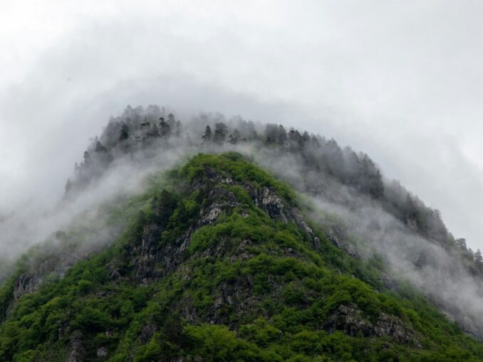 Горы - в Абхазию едут отдыхать, чтобы посмотреть природу