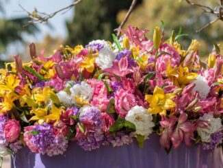 В апреле в Адлер стоит ехать на экскурсии и спокойноый отдых на море