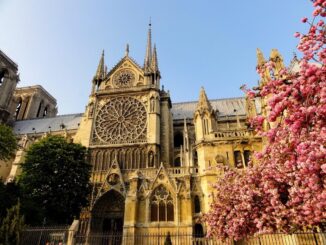 Нотр-Дам - в Париж в апреле стоит ехать на экскурсии и за впечатлениями!