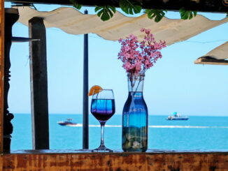 Море - в Абхазию стоит ехать на пляжный отдых и экскурсии!