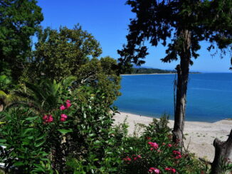 Берег моря - в Абхазию в мае стоит ехать на пляжный отдых и экскурсии